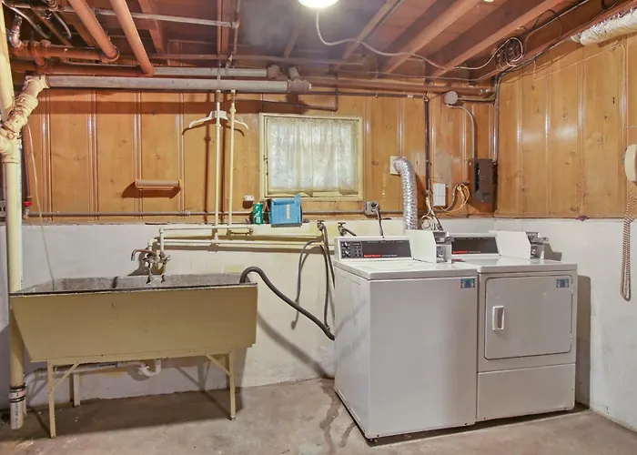 Elmwood Park Jungle Oasis With 2 Car Garage Near Downtown
